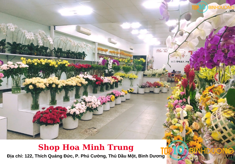 Shop Hoa Tươi Minh Trung- Top10binhduong