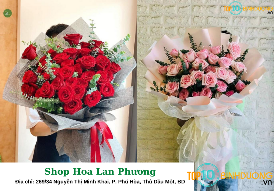 Shop Hoa Lan Phương Bình Dương - Top10binhduong
