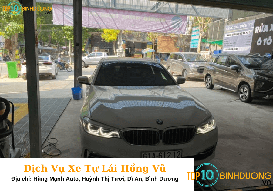 Tự lái Hồng Vũ - Top10binhduong (18)