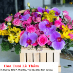 Shop Hoa Tuoi Binh Duong Top10binhduong 9