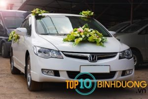 Top 10 Dich Vu Cho Thue Xe Hoa Tai Binh Duong 5