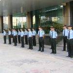 Cong Ty Tnhh Mot Thanh Vien Dich Vu Bao Ve Nam Quoc Viet 230143