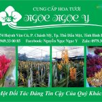 Hoa tươi Ngọc Ngọc Y