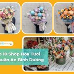 Top 10 Shop Hoa Tươi Ở Thuận An Bình Dương