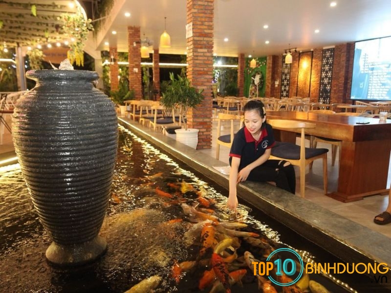 Cafe cá Koi Thuận An Bình Dương có những địa chỉ nào đẹp nhỉ?
