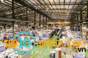 Cong Ty San Xuat Nhua Tai Binh Duong (7)