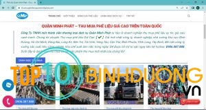 Top 10 Cong Ty Thu Mua Phe Lieu Tai Di An (7)