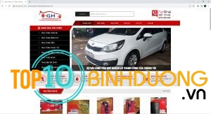 Do Choi Xe Hoi Binh Duong (5)